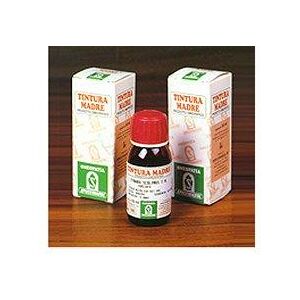 Specchiasol DAMIANA 29 50ML TM