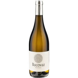 Bucovaz Malvasia 2022