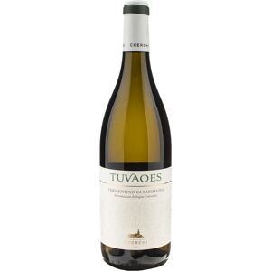 Cherchi Giovanni Cherchi Tuvaoes Vermentino 2023