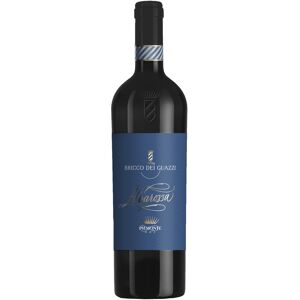 Bricco dei Guazzi Piemonte Albarossa Doc 2019