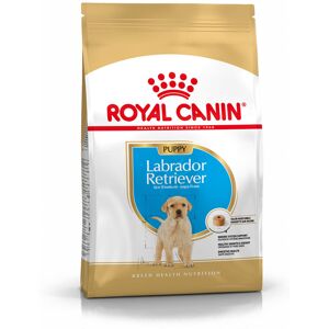 ROYAL CANIN Puppy Labrador Retriever 3KG