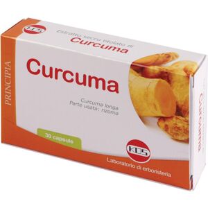 Curcuma Estratto Sec 30cps Kos