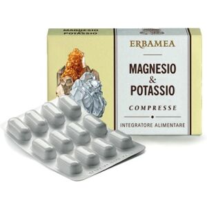 ERBAMEA Srl MAGNESIO&POT.24 Cpr EBM