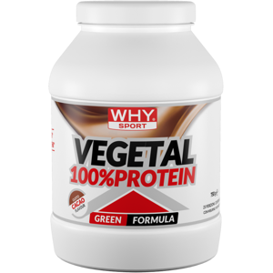 WHY SPORT 100% Vegetal Protein 750 gr