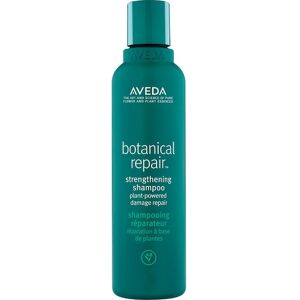 Aveda Hair Care Shampoo Botanical RepairStrenghtening Shampoo