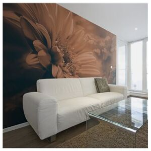 Collezione casa Art decor Fotomurale Gerbera in marrone