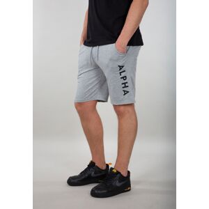 Alpha Jersey Pantaloncini Grigio 2XL