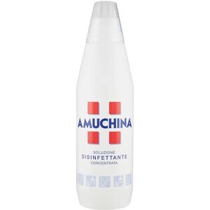 Amuchina Soluzione Disinfettante Concentrata, 1000ml