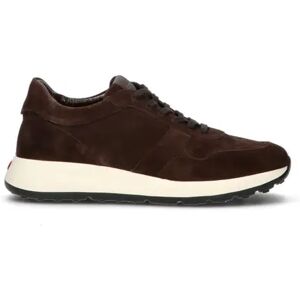 TODS Sneaker uomo marrone in suede MARRONE 42