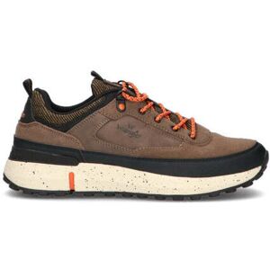 Wrangler Sneaker uomo taupe in suede TAUPE 43