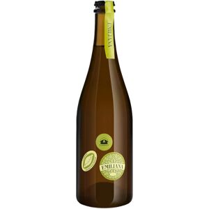 Lusenti Malvasia Frizzante Ancestrale  Emiliana  2020