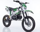 MOTOCROSS PITBIKE KXD 125cc 4TRuote 17/14”