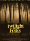 Twilight In Forks