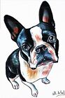 Stampa acquerello cane Boston terrier idea regalo