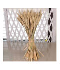 Spighe Di Grano Fascio 80 Pezzi Colore Naturale Artificiali H92cm Decorazione