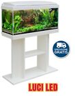 ACQUARIO MILO 80 BIANCO CON TAVOLO  FILTRO POMPA RISCALDATORE 96 LITRI