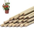 Canne Di Bambù Per Orto Piante 10 pezzi, Supporto Pianta