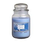 3pz Candele Profumate Zucchierera Fiori di Cotone 550g  100h Stile Yankee Candle