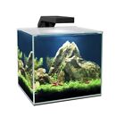 CIANO CUBE 15 LED ACQUARIO COMPLETO FILTRO E ILLUMINAZIONE 15 LITRI by ASKOLL