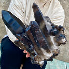 10LB  Natural Black Smoke Color Quartz Cluster Crystal Specimens Mineral Healing