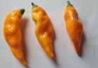 Aji Habanero Polvere Peperoncino piccante 10g