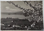 Cartolina 1944 Lago di Varese Isola Virginia viaggiata