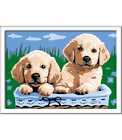 CreArt Serie E Cuccioli di Golden Retriever