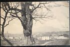 Cartolina Varese - Panorama / FP - Viaggiata 1910