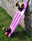 Purple Penny Board Skate Board