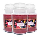 3 CANDELE PROFUMATE GIARA STILE YANKEE CANDLE 510gr IN VETRO - FRUTTI BOSCO