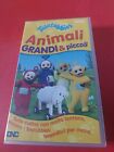 VHS Teletubbies Animali GRANDI & piccoli BBC Videocassetta