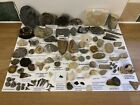 Fossil/Dinosaur Collection Ammonite Belemnite Trilobite Bone Crinoid Teeth Shell