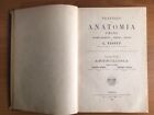 Trattato di Anatomia Umana 1899 - L. Testut