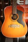 Rare Old Vintage Italian Eko Acoustic Guitar + Pro Setup