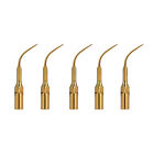 G4T Dental Ultrasonic Scaler Tips Golden Scaling Tips EMS Woodpecker