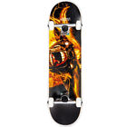 Skate Completo Ghettoblaster GOAT 8.125"