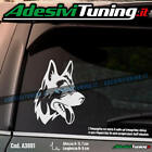 Adesivo Cane Pastore Tedesco - Sticker Decal