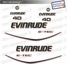 Adesivi motore marino fuoribordo Evinrude 40 cv E-TEC gommone barca