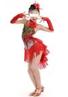 Vestito Tutù Saggio Danza Ballo Frange Bambina Girl Hip Hop Ballet Dress DANMO01