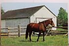 Pennsylvania PA Dutch Country Amish Farm House Greetings Postcard Old Vintage PC