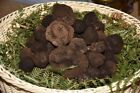 Tartufo Nero Fresco invernale 100 gr- qualità mesentericum - Trüffel - Truffle