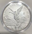 MESSICO  1 OZ LIBERTAD 2013 ARGENTO PURO 999 - MESSICO 1 OZ LIBERTAD 2013 PLATA