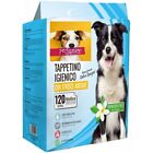 tappetini assorbenti 60x90 igienici Per Cani Box 100 200 300 400 500 600+ Gratis