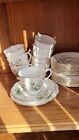 Rare Royal Albert Narcisuss Trios X 8 AVAILABLE