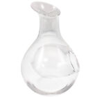 Sake Decanter Bottle Ice Jug Wine Gift Idea Dispenser with Cube Holder