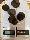 100 Gr Tartufo Nero fresco invernale