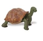 Safari Ltd 272529 Riesenschildkröte 8 cm Serie Wildtiere