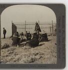 Cheyenne Indians at the Grave of General Custer Keystone  Stereoview c1900