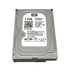 Western Digital Blue Hard Disk Interno per Desktop 1TB, 7200RPM, WE10EZEX