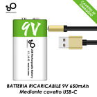 Batteria 9V 6F22 ricaricabile transistor 650mAh USB Battery Lipo vari usi